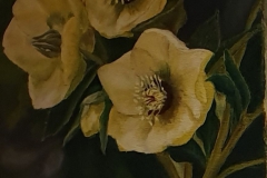 45a