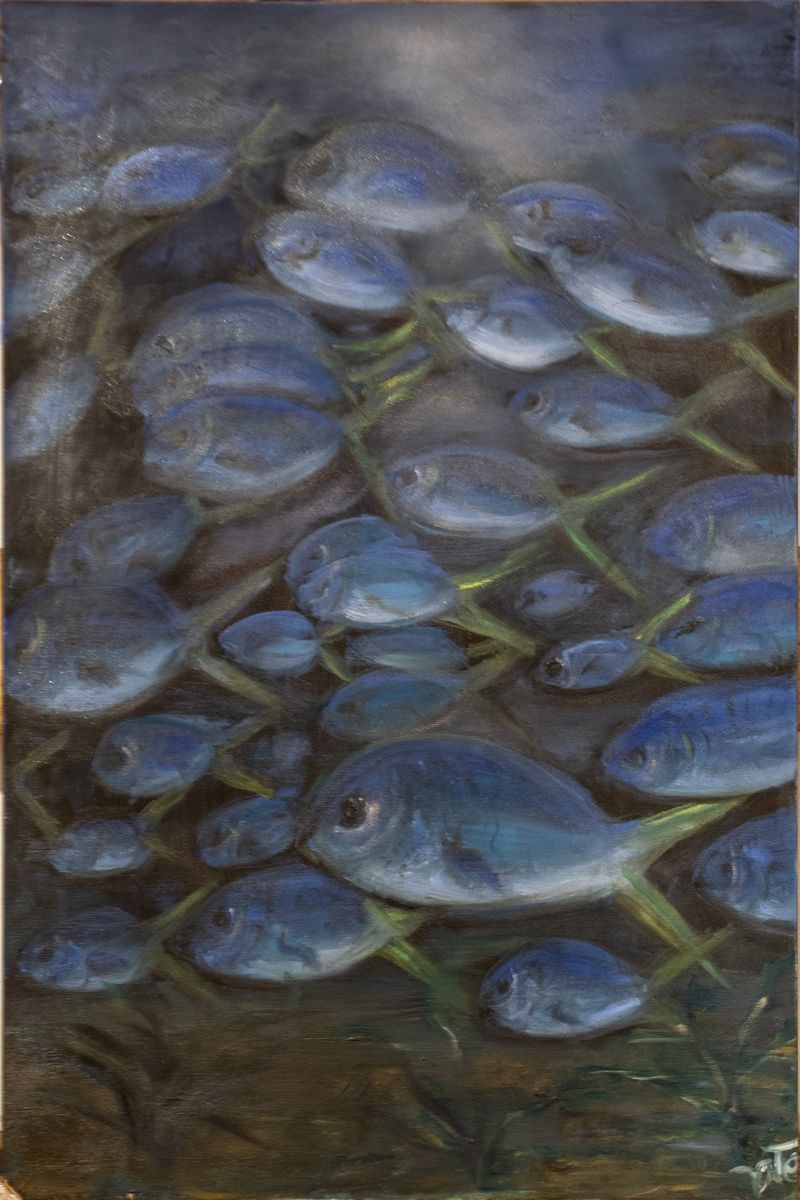 Manuela Venturoli - In fondo al Mar