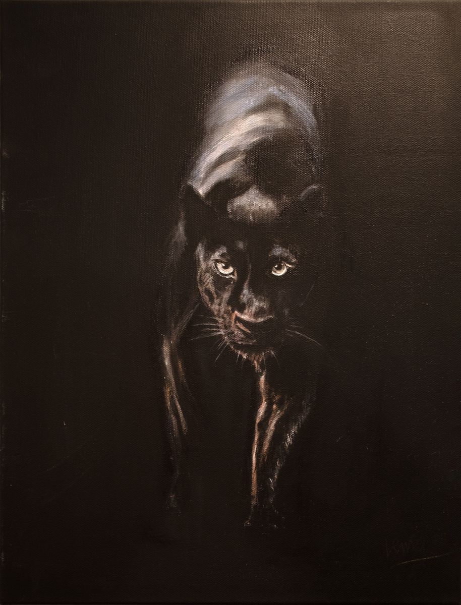 Manuela Venturoli - Passo del Felino