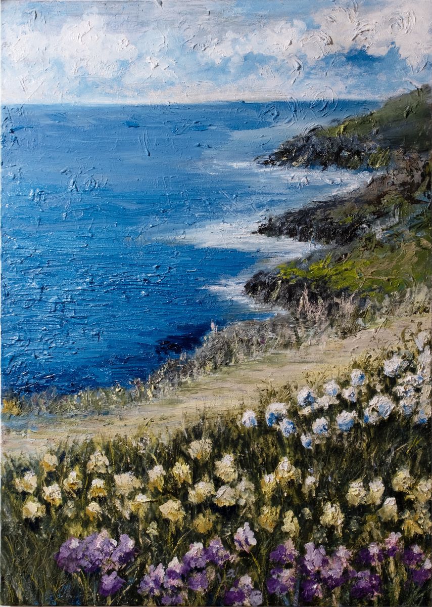 Virna Damiani - Scogliera Fiorita