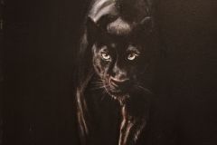 Manuela Venturoli - Passo del Felino